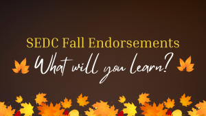 Banner for SEDC Fall Endorsements info post - decorative image with fall leaves of orange, yellow and red on a brown background.