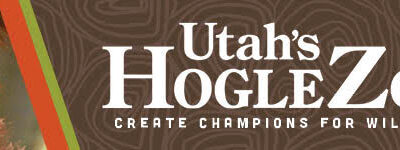 Free Virtual Professional Development from Utah’s Hogle Zoo