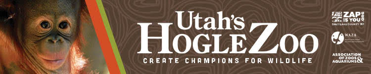 Banner for Utah's Hogle Zoo featuring a close-up of a baby orangutan and the tagline "Create Champions for Wildlife."